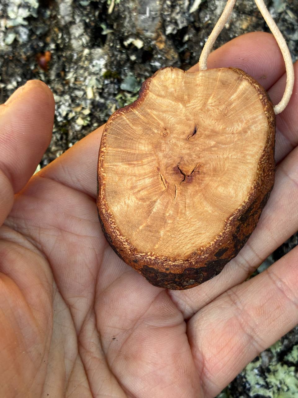 Hobbit Tür aus Baumperle – Bild 4
