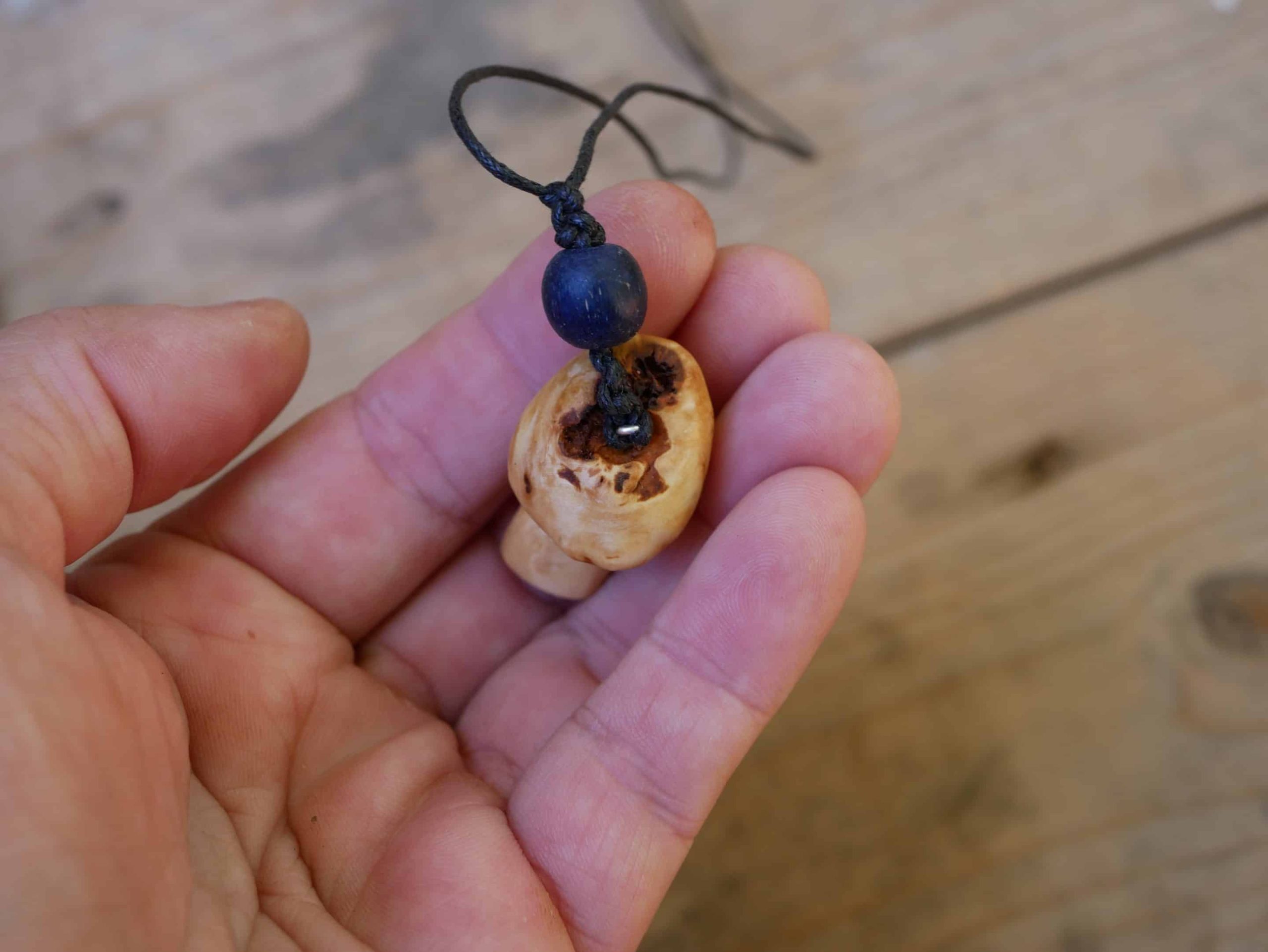 Pilz Kette – Bild 3